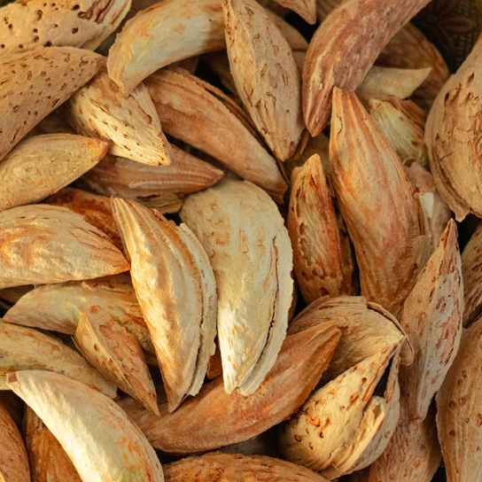 Afghan Logari Mamra Almond (White)