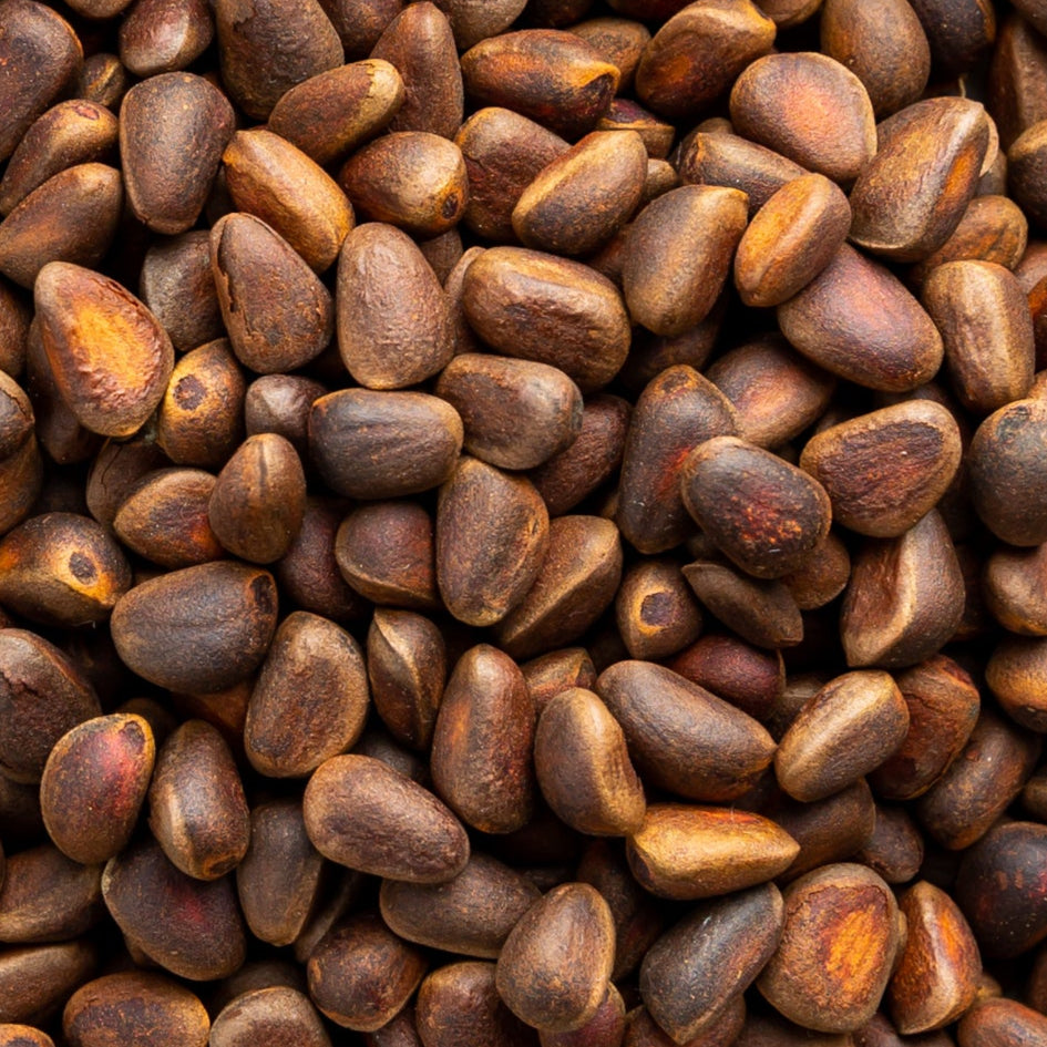 Pine Nuts (with Shell)