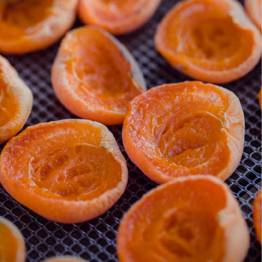 Apricots (Dried)